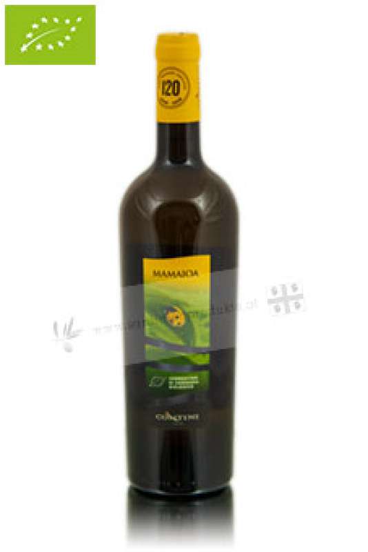 Sardinian red wine - bottle